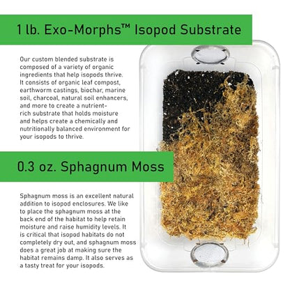 Deluxe Isopod Habitat Kit - Exo-Morphs - Insect Terrarium