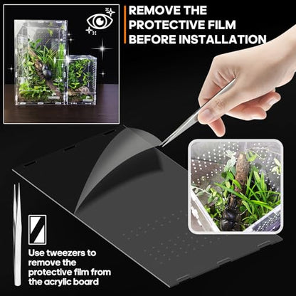 Acrylic Jumping Spider Enclosure - Insect Terrarium for Spiders, Mantises, Tarantulas & Frogs - size: Large