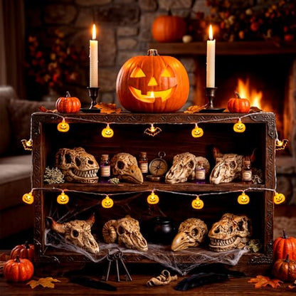 Geelin 60 Pcs Mini Resin Animal Skull Heads Miniature Animal Skulls Figurines Bulk for Sand Box Mini Skull Figurine for Reptiles Hideouts Crafts Micro Landscape Decor