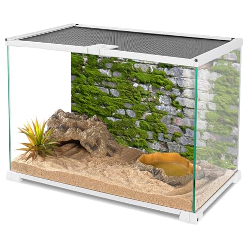 YongFoto Reptile Terrarium Background 24x16 inch Reptile Tank Background Brick Wall Green Moss Reptile Habitat Background Bearded Dragon Fish Tank Aquarium Background Backdrop - color: Gray-Green, size: 24x16in/60x40cm