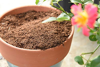 Organic Sphagnum Peat Moss by Perfect Plants - 8 Dry Quarts Absorbs Essential Nutrients When Added to Soil and Enriches Plant Roots - Indoor and Outdoor Soil Medium and Acidifier - size: 8qts.