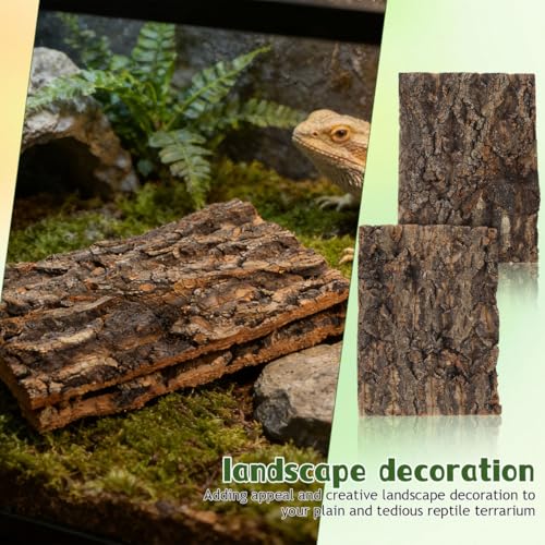 Veemoon Reptile Bark Decor 2 Pcs Natural Tree Bark Hide for Terrarium Climbing Platform for Lizard Gecko Bearded Dragon Snake 7.67 X 5.82 X 0.39 in