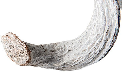 Galapagos (05313) Jungle Wood, White, 3 Ft. - color: White, size: 3 ft