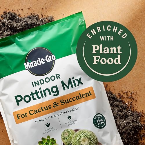 Miracle-Gro Indoor Potting Mix for Cactus and Succulent, Fast-Draining Cactus and Succulent Potting Mix with Plant Food, 8 qt. (2-Pack)
