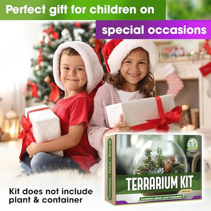 DUSPRO Terrarium Kit, Include Potting Soil, Pumice, Zeolite, Green Moss, Sphagnum Moss, Decorative Stone, Mesh, Tools, DIY Terrarium Kit for Kids, Air Plant, Succulent - size: Terrarium Kit