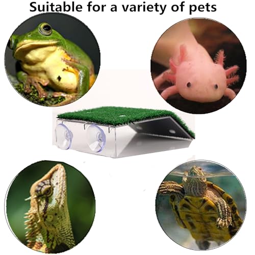 alfyng Small Turtle Resting Basking Platform, Simulation Grass Turtles Ramp, Lawn Tortoise Climbing Ladder Resting Terrace Turtle Dock Floating Décor for Reptile Frog Terrapin - size: S