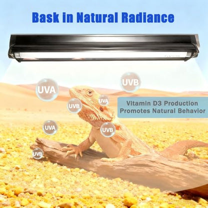 KINGYEENUO T8 Reptile Light Fixture Combo Kit 15W, UVB Reptile Light Fixture with Desert UVB 10.0 18.3" Fluorescent Tube, UVA UVB Reptile Light for Lizard, Bearded Dragon, Tortoise