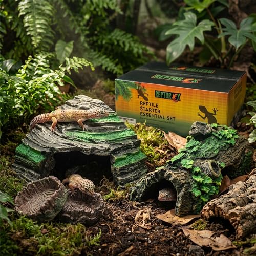 Reptile Starter Kit with Hideouts & Tank Decor - 4-Piece Set for Snakes, Leopard Geckos & Lizards, Reptile & Amphibian Habitat Hideouts with Cave, Log & Food and Water Dishes