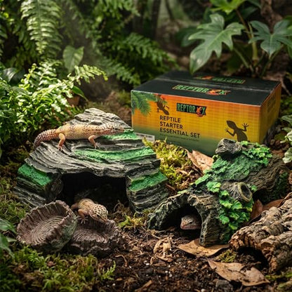 Reptile Starter Kit with Hideouts & Tank Decor - 4-Piece Set for Snakes, Leopard Geckos & Lizards, Reptile & Amphibian Habitat Hideouts with Cave, Log & Food and Water Dishes