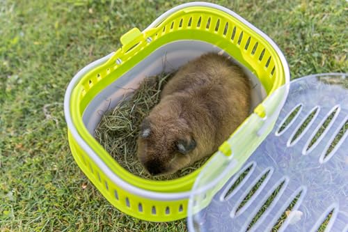 Trixie Pico Transport Crate - Portable Pet Carrier Great for On-The-Go - Traveling Cage for Small Pets, Hamsters, Guinea Pigs, Lizards, and More - size: 9.1"L x 6.7"W x 6.3"H