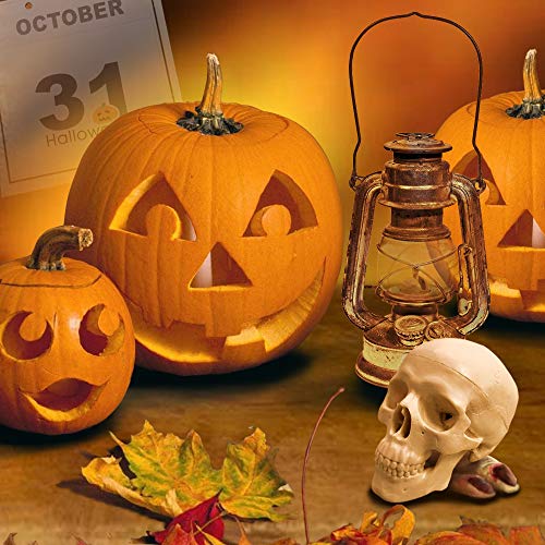 Mini Human Skull Model, 3 Parts Palm-Sized Anatomy Skull Model with Removable Skull Cap & Full Set Teeth, School Teaching-Learning Tool, Fun Decorations Halloween Decorations Pirate Themed Decorations
