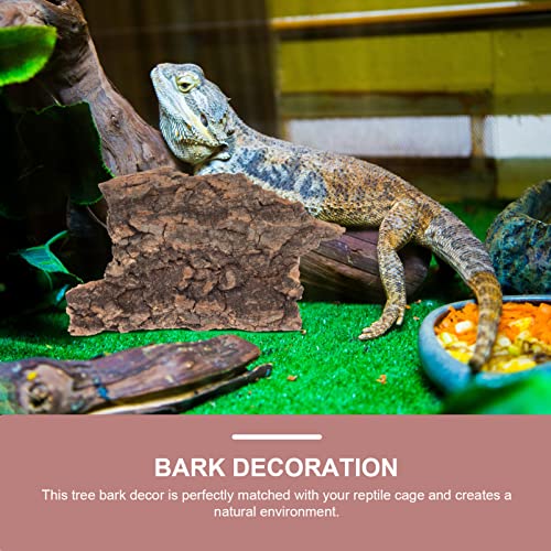 Homoyoyo 10pcs Cork Bark Decorations Chameleon Tank Background Snake Tank Decorations