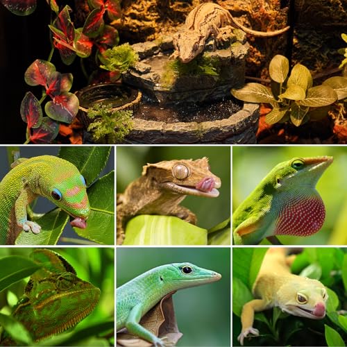 Reptile Water Fountain, Reptile Terrarium Waterfall Drinking Fountain with Food Dish for Bearded Dragon Lizard Leopard Crested Gecko Chameleon Frog