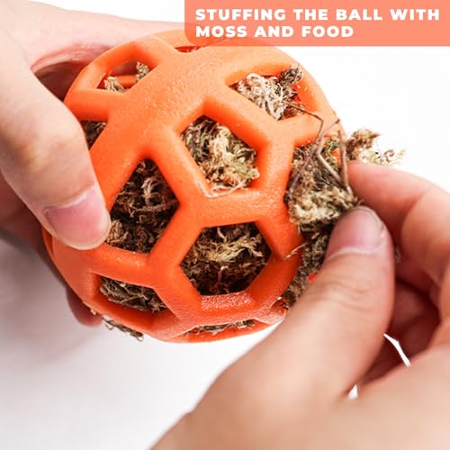 Hermit Crab Tank Accessories & Feeder - Fruit & Veggie Food Ball, Reptile Toys