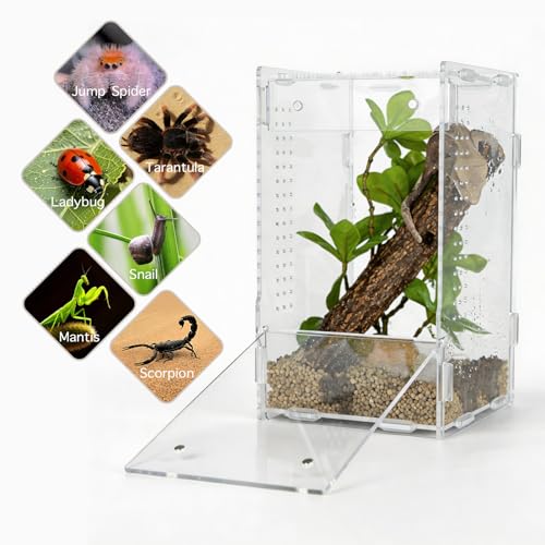 5x5x8 Reptile Tank – Acrylic Reptile Enclosure Terrarium for Crested Gecko, Lizards, Spiders & Snakes – Clear Lizard Habitat Terrarium - size: 5"5"8"