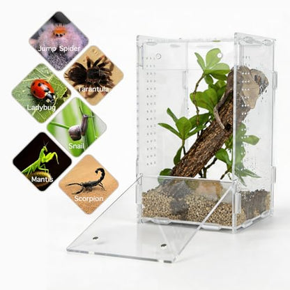 5x5x8 Reptile Tank – Acrylic Reptile Enclosure Terrarium for Crested Gecko, Lizards, Spiders & Snakes – Clear Lizard Habitat Terrarium - size: 5"5"8"