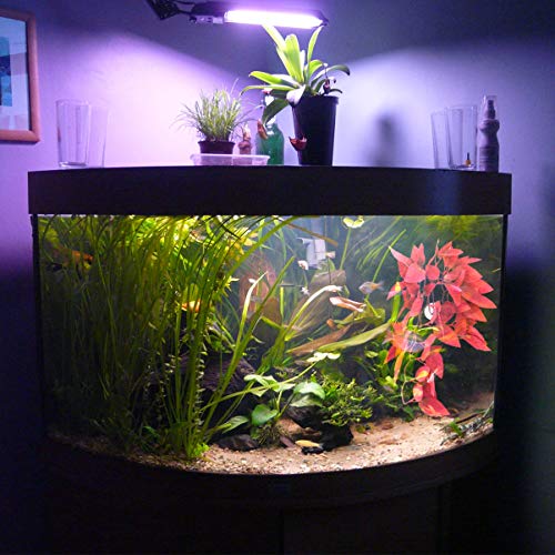 POPETPOP Reptile Plants for Terrarium : Resin Aquarium Plant with Suction Cup Artificial Rattan for Lizard Gecko Snake, 11.81x4.72x 0.78 inch