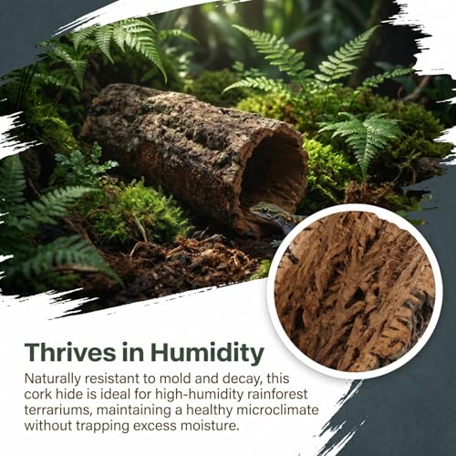 SHINEOFI Natural Cork Bark for Reptiles 9x4x3. 5" Wood Cork Rounds Tube Hide Reptile Bark Decor for Gecko Lizard Snake Spiders Bearded Dragons Tank Terrariums Turtle Tanks and Bird Cages Decor