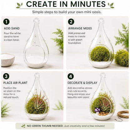 Creations by Nathalie - DIY 5" Terrarium Kit with Live Air Plant (Local & Fresh from Florida), Glass Tear Drop, Reindeer Moss, Figurine, Healing Crystal Chips and Sand - Handmade in USA - color: 5" Teardrop