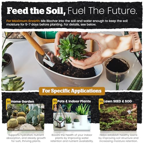 Wakefield Biochar Blend Potting Mix for Cactus & Succulent – Premium Potting Soil Blend with CarbonBoost Technology for Superior Drainage, Moisture Retention & Root Growth – 2 QT Organic Soil Mix - size: 2 Quart