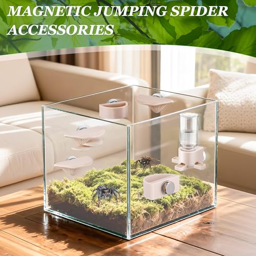 6 Pcs Jumping Spider Accessories, Mushroom Ledges & Feeding Dish and Water Dispenser, Magnets Jumping Spider Enclosure/Habitat Decor for Small Animals, Geckos, Tarantulas