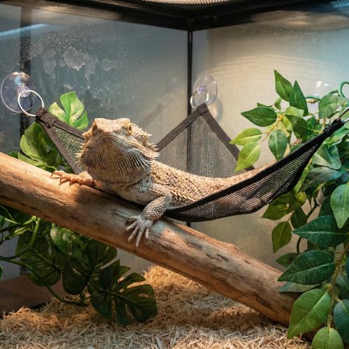 2 Pcs Bearded Dragon Hammock, Breathable Mesh Reptile Hammock for Lizard Gecko, Triangular Climbing Lounger with Strong Suction Cups for Iguanas, Geckos, Snakes, Chameleon Tank Accessories (Black)