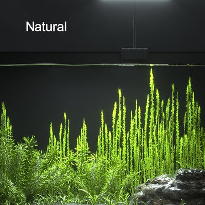 Carefree Fish Aquarium LED Light USB 7W Timer 4/8/12/18 Hours for 1~5Gal Fish Tank (Include UL Certification Power Adapter)