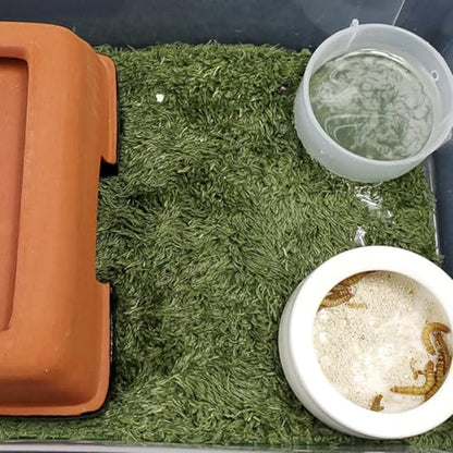 2pcs Natural-Looking Reptile Mats Simulated Moss Carpets for Climbing Pets Moisturizing Fake Lawn for Terrariums Safe and Absorbent Bedding for Turtles and Frogs