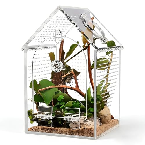 Clear Acrylic Reptiles Terrarium Breading Box with Removable Top Lid Ventilation Hole 12x12x20cm for Science Experiment Clear Herpeton Enclosure