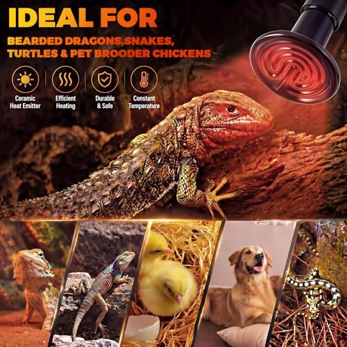 4 Pack 150W Ceramic Heat Emitter, No Light Reptile Heat Lamp Bulb for Bearded Dragon Tank, Chicken Brooder and Coop, E26 Ceramic Heater Bulb for Large Terrarium