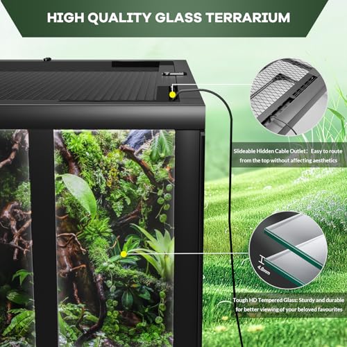 Takywep Escape-Proof Reptile Terrarium - 50 Gallon Glass Enclosure with Tempered Glass, Dual-Climate Water-Tight Base, Top & Side Screen Ventilation, Easy 5-Minute Setup for Bearded Dragon, Lizard - size: 36x18x18 inch