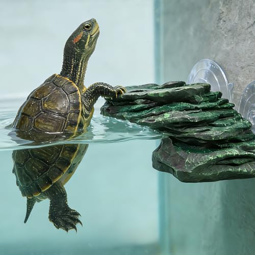 Turtle Basking Platform, Fish Tank Aquarium Tortoise Climbing Platform, 5.7x3.1x3.3 inch Float Resting Terrace for Frogs, Terrapins (5.7x3.1x3.3)