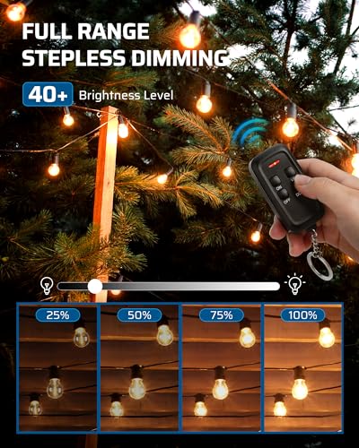 DEWENWILS Outdoor Dimmer for String Lights, 125V Dimmer Switch with 100FT Control Range, Weatherproof Outdoor Dimmer Plug for Dimmable LED/Tungsten Bulbs - style: 1 remote 2 outlets