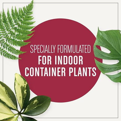 Miracle-Gro Houseplant Potting Mix - Fertilized Indoor Plant Soil for Containers, Designed to be Less Prone to Gnats, 4 qt. - size: 1 Pack, style: Houseplant
