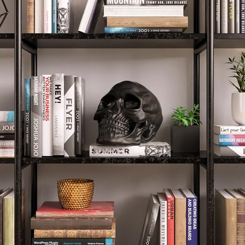 READAEER Resin Skull, Human Head Model for Home Decoration, Halloween Statue, Skull Model for Bookshelf and Desktop (Black)