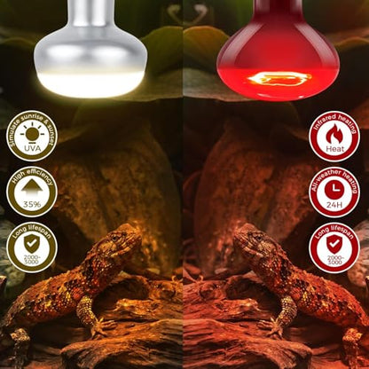 100W Reptile Heat Lamp Bulb, Day & Night Basking Spot Light Combo Pack Includes Infrared Heat Lamp and UVA Daylight Heating Lamp Basking Light for Lizards, Turtles, Chicken，Bearded Dragons - style: Day & Night Heat Lamp 100W