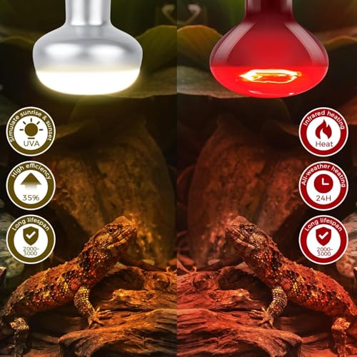 100W Reptile Heat Lamp Bulb, Day & Night Basking Spot Light Combo Pack Includes Infrared Heat Lamp and UVA Daylight Heating Lamp Basking Light for Lizards, Turtles, Chicken，Bearded Dragons - style: Day & Night Heat Lamp 100W