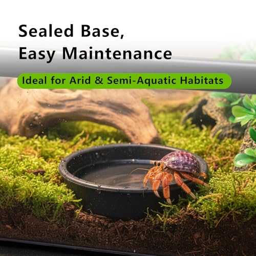 Small Reptile Terrarium, Escape Proof Enclosure 12.6×8.7×3.9 in | Clear Viewing Habitat for Hermit Crabs Isopods and Beetles, Tarantula Gecko Praying Mantis Feeding Box, Breeding Habitat