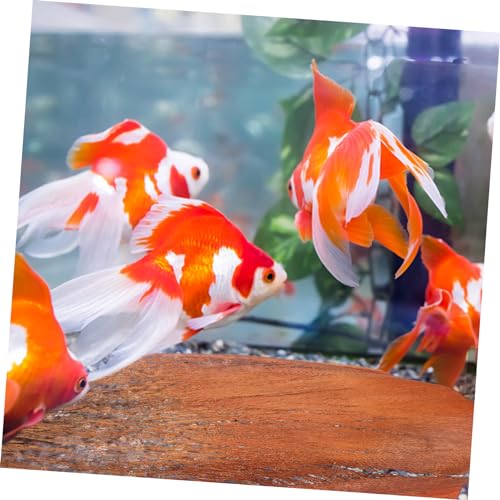 Abaodam 5 Sheets Palm Tree Bark for Fish Breeding and Garden Decor Enhance Your Outdoor Space with Realistic Plant Aesthetics for Flower Pots and Greening Projects