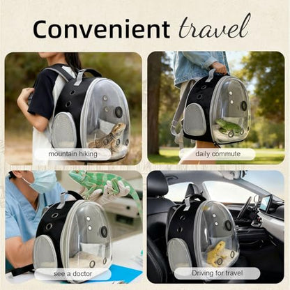 Bearded Dragon Travel Backpack Carrier with Reptile Thermometer and Humidity Gauge Lizard Travel Cage Space Capsule Clear Bubble Window Astronaut Reptile Bag for Ball Python (Black, Backpack) - color: Black, size: Backpack