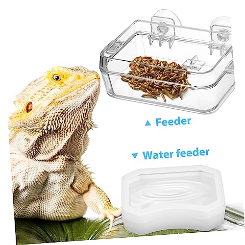 BESPORTBLE 2pcs Reptile Feeder Cup Water Dish Escape Feeding Bowl for Lizard Bearded Dragon Gecko Small Food-Grade Material Strong Suction Cup for Secure Placement