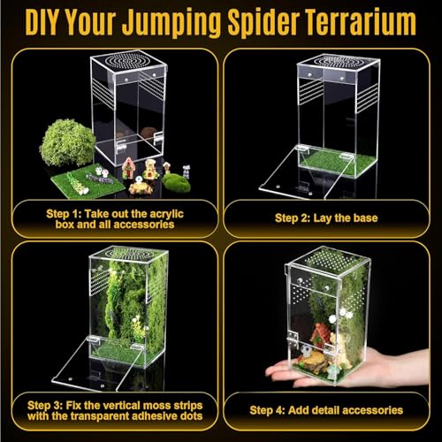 3"x3"x6.2" Jumping Spider Enclosure Kit – Escape-Proof Terrarium for Jumping Spiders, Small Insects – Complete Habitat with Spider Cage, Plants, Moss, and Accessories – Ideal Starter Kit