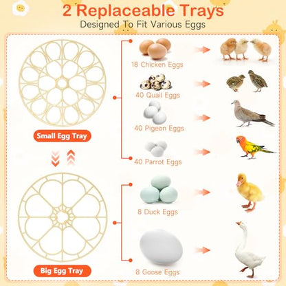 18 Egg Incubators for Hatching Eggs, Automatic Egg Turning and Humidity Control Incubator for Hatch Chicken Duck Quail Pigeon Pheasant Partridge Home Classroom Lab-