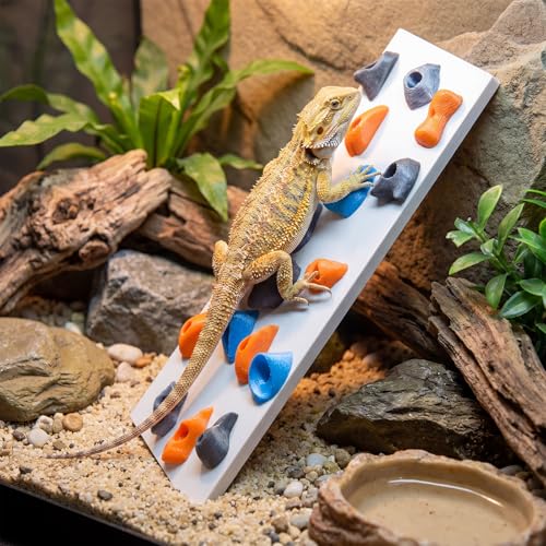 Junkin Reptile Rock Climbing Wall with Climbing Grips, 9.8 x 7.9 Inches Terrarium Enclosure Habitat Decor Reptile Tank Enrichment Accessories for Bearded Dragons, Geckos, Lizards & Snakes