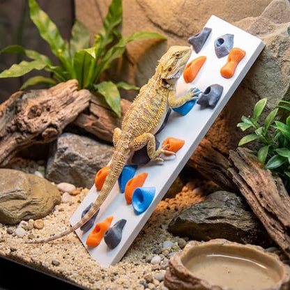 Junkin Reptile Rock Climbing Wall with Climbing Grips, 9.8 x 7.9 Inches Terrarium Enclosure Habitat Decor Reptile Tank Enrichment Accessories for Bearded Dragons, Geckos, Lizards & Snakes
