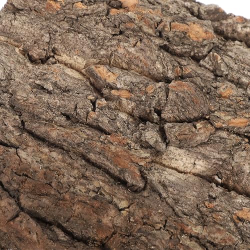 Kisangel Natural Cork Bark Aquarium Decor 4Pcs 7.87X4.13 Inch Terrarium Bark Background Reptile Tank Accessory for Climbing Habitat and Fish Tank Decoration