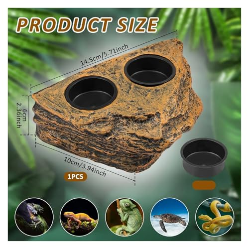 Magnetic Reptile Feeder Ledge Reptile Food Water Dish with 2 Bowl Gecko Lizards Tree Frogs Chameleons Tank Feeder Ledge