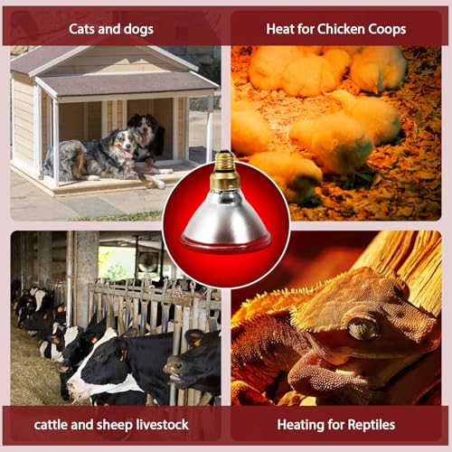 Heat Lamp, 175W Heat lamp Bulbs, PAR38 Infrared Heat lamp, Halogen Heat for Food Service, Brooder Bulb, Chicks, Pet, Bathroom, Light Therapy Use E26 Base, Flood Light Heat Lamp. 2 Pack