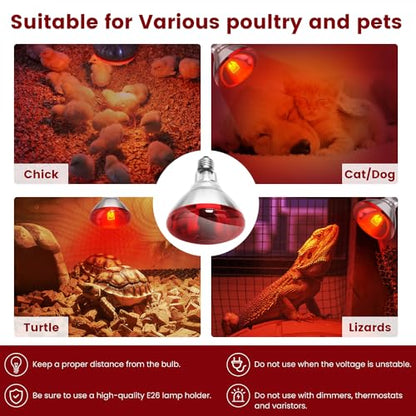 DaToo Infrared Heat Lamp Bulb for Chickens Red Heat Lamp Flood Light Heat Lamp Bulb 150 W Heating Bulbs for Brooder Coops Pets Chicks Reptiles Food Service (2 Pack) - size: 2 Pack