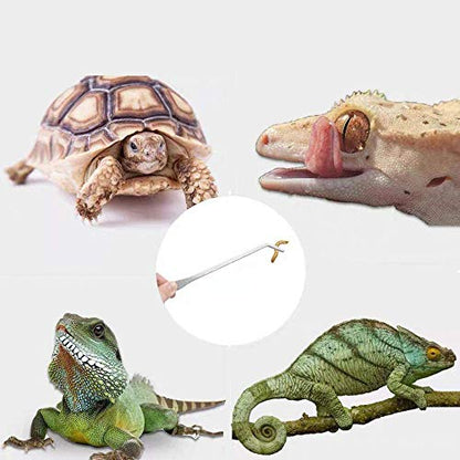 alfyng 15 Inch Reptile Feeding Tongs Long Tweezers Cricket Clamp Bug Scooper, 3 Pcs Stainless Steel Straight and Curved Tweezers Feeder Tool for Snake Lizard Gecko Spider Bearded Dragon - size: 15 inch (Pack of 3)